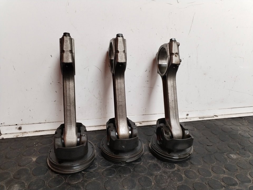 PISTON 10044470X2